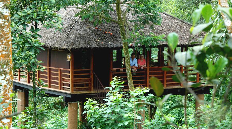 Carmelia Haven The Plantation Resort, Thekkady 3